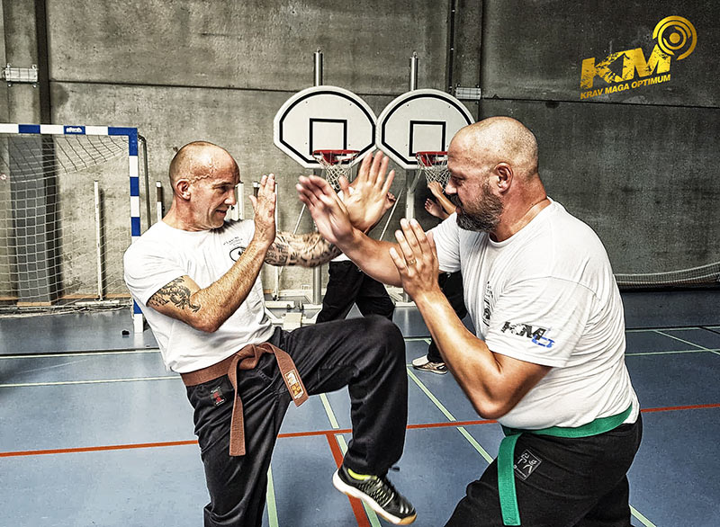 cours krav maga